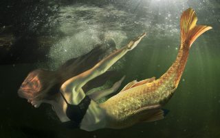 Le leggende delle Marche – La sirena Mitì