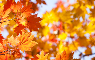 ottobre