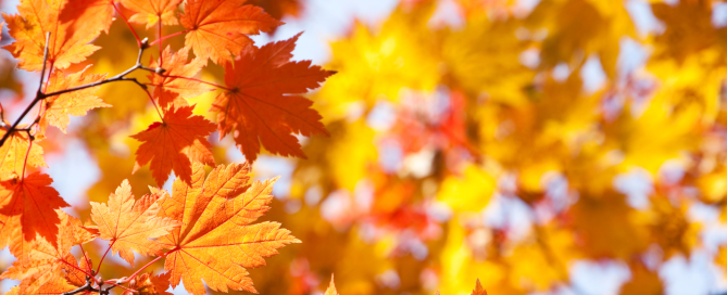 ottobre