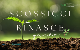 scossicci green